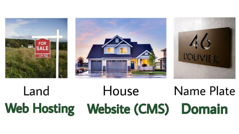 Wix or WordPress: Which web hosting service to choose as a blogging beginner?